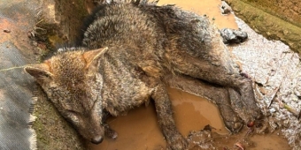 Imagem de capa da notícia