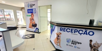 Imagem de capa da notícia