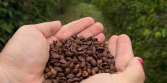 Imagem de capa da notícia