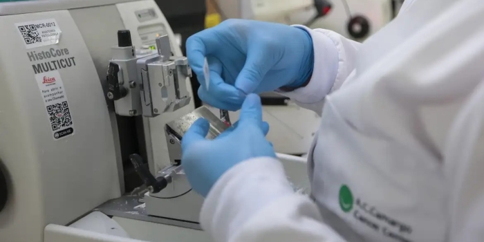 Foto de capa da notícia