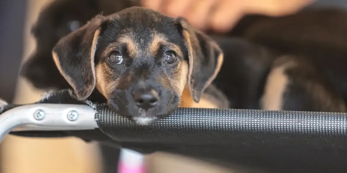 Foto de capa da notícia