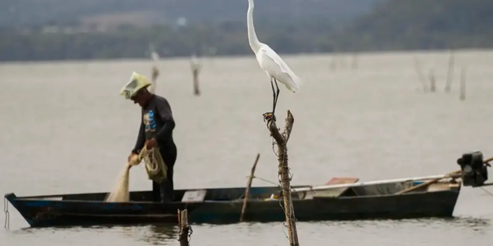 Foto de capa da notícia