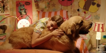 Imagem de capa da notícia