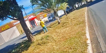 Imagem de capa da notícia