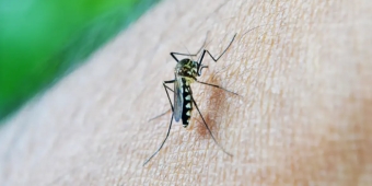 Imagem de capa da notícia