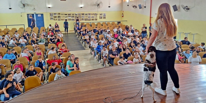 Foto de capa da notícia