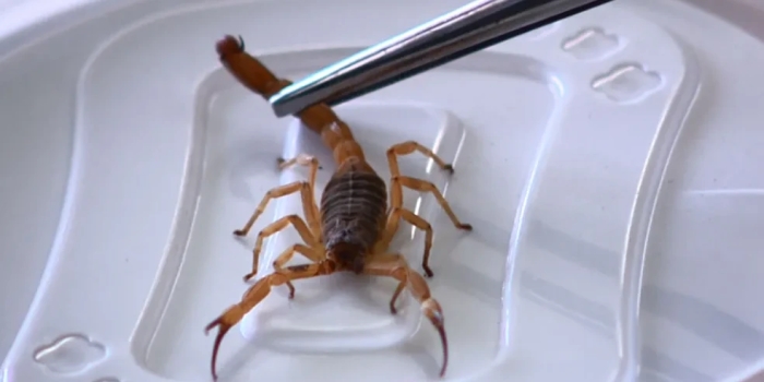 Foto de capa da notícia