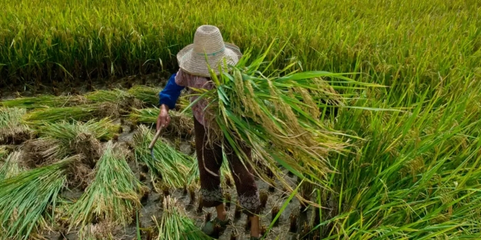 Foto de capa da notícia