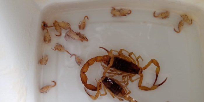 Foto de capa da notícia