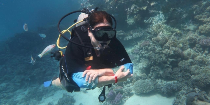 Foto de capa da notícia