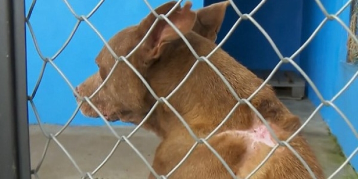 Foto de capa da notícia