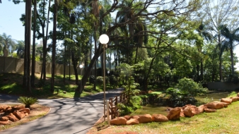 Imagem de capa da notícia