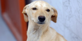 Imagem de capa da notícia