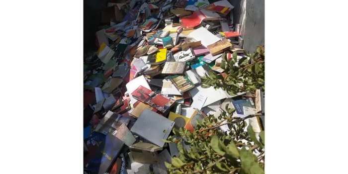 Foto de capa da notícia