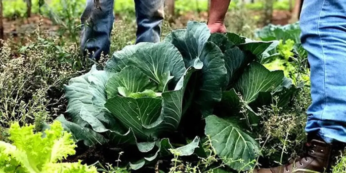 Foto de capa da notícia