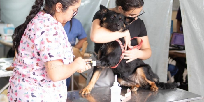 Foto de capa da notícia