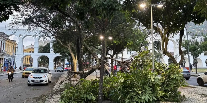 Foto de capa da notícia