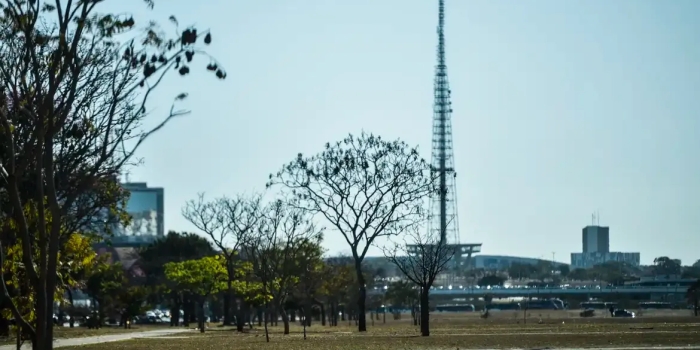 Foto de capa da notícia