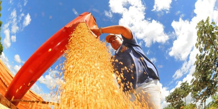 Foto de capa da notícia