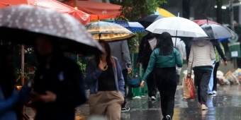 Imagem de capa da notícia