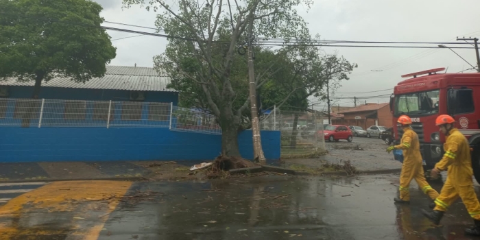 Foto de capa da notícia