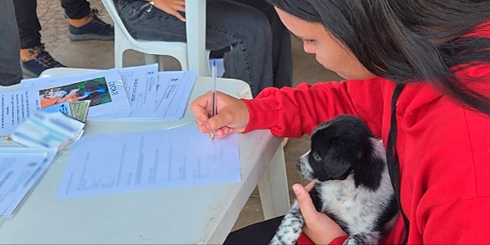 Foto de capa da notícia