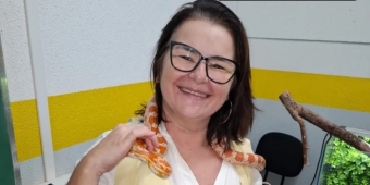 Imagem de capa da notícia