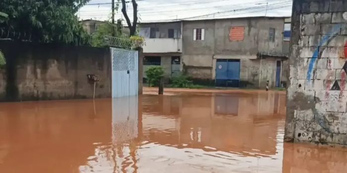 Foto de capa da notícia