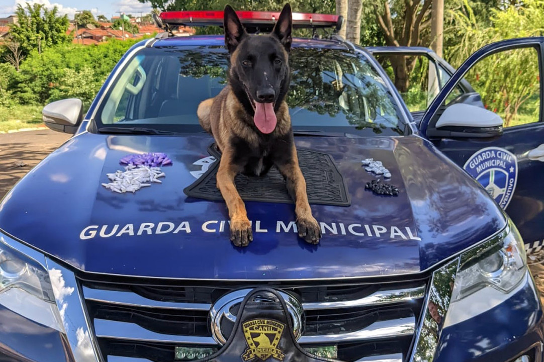 Imagem de capa da notícia