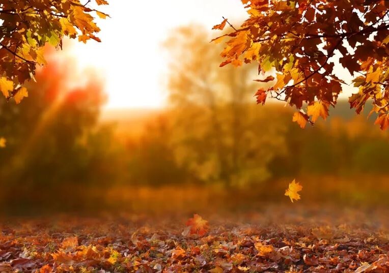 Imagem de capa da notícia